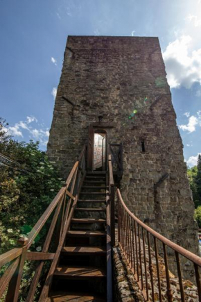 La Torre Medievale Lungarno Pratovecchio
